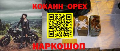 гашик Моздок