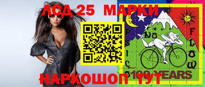 гашик Моздок