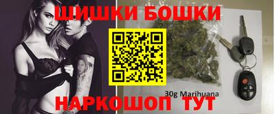 гашик Моздок