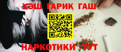 гашик Моздок