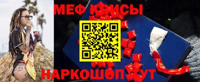 гашик Моздок